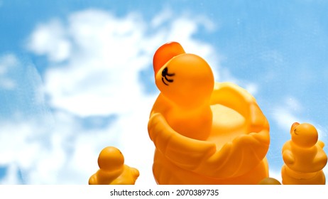 Cute Yellow Rubber Duck Family