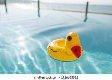 Cute Yellow Rubber Duck Floating On Blue Water In A Pool.