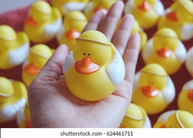 Cute Yellow Rubber Duck On Hand