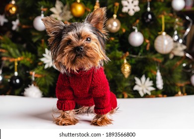 Yorkie Yorkshire Terrier Dog Briefcase Wood Christmas Tree Ornament 