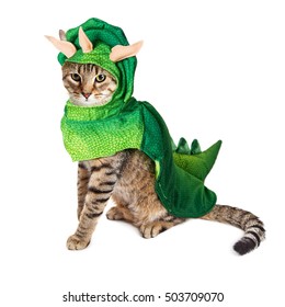 Cute Young Cat Wearing Dinosaur Halloween Costume. Isolated On White