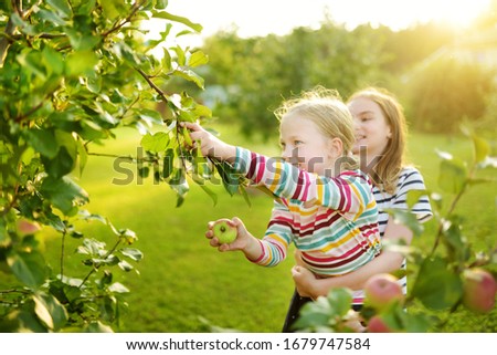 Similar – Image, Stock Photo Little girl picking apples with senior woman