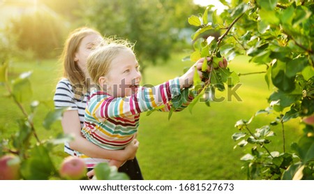 Similar – Image, Stock Photo Little girl picking apples with senior woman