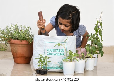 Cute Young Smiling/happy Indian Girl/kid Gardening/farming In Her Balcony, Kerala India . Asian Child/beautiful Daughter Creating Green World/city. Act/Go Green/save Earth. Organic Vegetable Garden