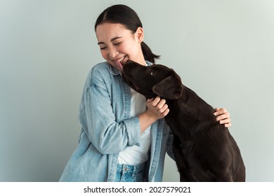 Cute young woman hugs her puppy labrador dog. Dog kisses a girl. Love between dog and owner. Isolated on grey background. Studio portrait 