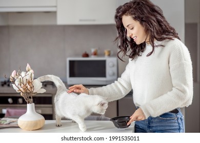 Cute Young Woman Stroking Her White Cat