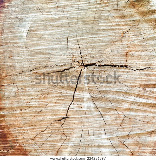 Cuted Wood Stock Photo Edit Now