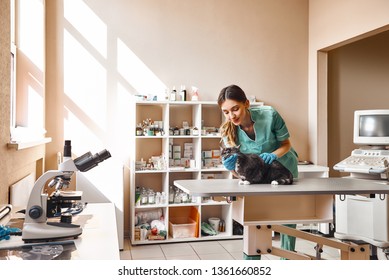 The Cutest Patient. Young And Positive Female Veterinarian Is Making A Medical Check Up Of A Black Cat Which Is Sitting On A Table At Veterinary Clinic.