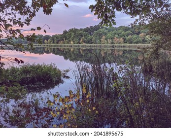 Cutler Park Reservation Freshwater Marsh And Nature