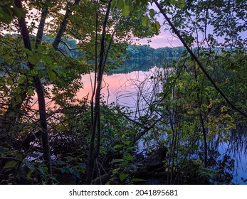 Cutler Park Reservation Freshwater Marsh And Nature