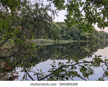 Cutler Park Reservation Freshwater Marsh And Nature