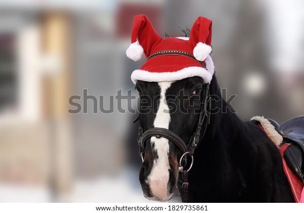 13 Christmas Fancy Dress Horse Images Stock Photos Vectors   Cutoff Image Horse Fancy Christmas 600w 1829735861 