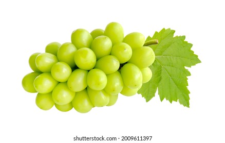 Cutout Beautiful Bunch Of Fresh Green Shine Muscat Grape With Leaf Isolated On White Background