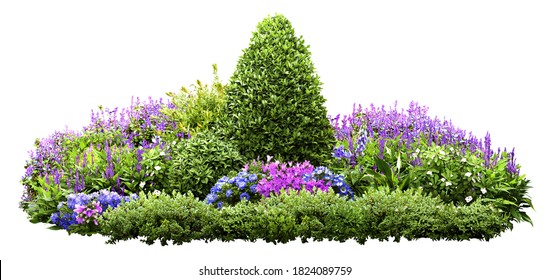 Cutout flower bed.
Garden design isolated on white background. Flowering shrub and green plants for landscaping. Decorative hedge. High quality clipping mask.