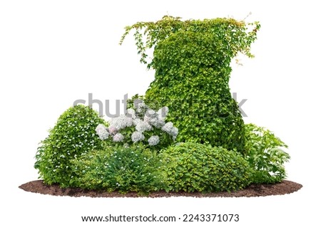 Cutout flowerbed. Plants and flowers isolated on white background. Flower bed for garden design. Luxurious foliage of green bushes and shrubs.