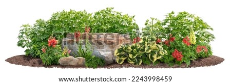 Cutout garden design. Flower bed isolated on whitet background. Flowering shrub and stones for landscaping. Decorative green plants and flowers. High quality clipping mask.