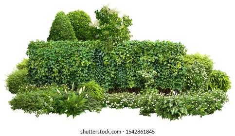 Shrub Images Stock Photos Vectors Shutterstock