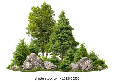 Cutout rock surrounded by fir trees. Garden design isolated on white background. Decorative shrub for landscaping. High quality clipping mask for professionnal composition. Stones in the forest.