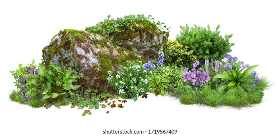 Cutout Rock Surrounded By Flowers.
Garden Design Isolated On White Background. Flowering Shrub And Green Plants For Landscaping. Decorative Shrub And Flower Bed. High Quality Clipping Path.