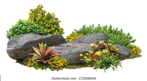 Cutout rock surrounded by flowers.
Garden design isolated on white background. Flowering shrub and green plants for landscaping. Decorative shrub and flower bed. High qualit - Shutterstock ID 1722068434