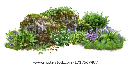 Cutout rock surrounded by flowers.
Garden design isolated on white background. Flowering shrub and green plants for landscaping. Decorative shrub and flower bed. High quality clipping path.