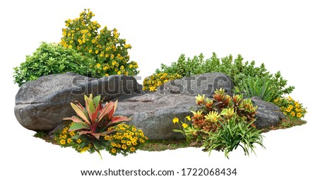 Cutout rock surrounded by flowers.
Garden design isolated on white background. Flowering shrub and green plants for landscaping. Decorative shrub and flower bed. High qualit