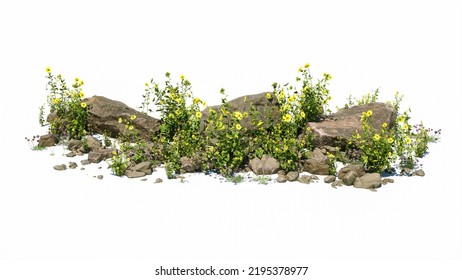 Cutout rock surrounded by yellow flowers. Garden design isolated on white background. Flowering shrub and green plants for landscaping. Decorative shrub and flower bed.