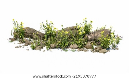 Cutout rock surrounded by yellow flowers. Garden design isolated on white background. Flowering shrub and green plants for landscaping. Decorative shrub and flower bed.