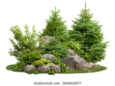 Cutout stones surrounded by fir trees and green plants. Garden design isolated on white background. Decorative shrub for landscaping. High quality clipping mask for professionnal composition.
