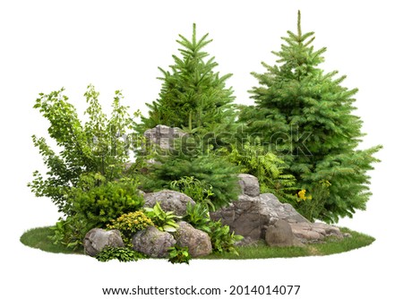 Cutout stones surrounded by fir trees and green plants. Garden design isolated on white background. Decorative shrub for landscaping. High quality clipping mask for professionnal composition.