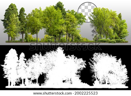 Cutout tree line.
Row of green trees and shrubs in summer isolated on a checkered background via an alpha channel. Forestscape. High quality clipping mask. Forest and green foliage.