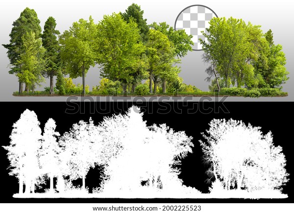 Cutout\
tree line.\
Row of green trees and shrubs in summer isolated on\
transparent background via an alpha channel. Forestscape. High\
quality clipping mask. Forest and green\
foliage.