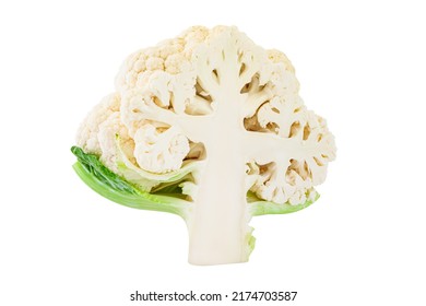 Cutted In Half Cauliflower Cabbage Vegetable Isolated On A White Background, Superfoods And A Diet Of Cruciferous Vegetables For Health And Weight Loss