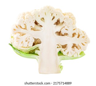 Cutted In Half Cauliflower Cabbage Vegetable Isolated On A White Background, Superfoods And A Diet Of Cruciferous Vegetables For Health And Weight Loss