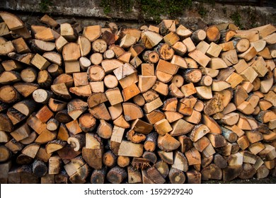 cutted woods for camp fire 