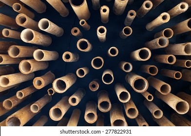 Cutting bamboo, cross section of bamboo. copy space for text insertion 