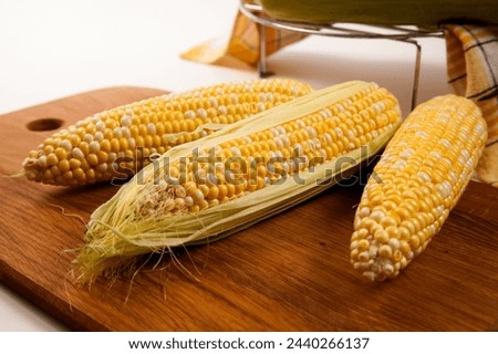 Cutting board with three  ears of ripe sweet corn and yellow towel on vintage white wooden background. Cobs with white and yellow grains. Fresh ears of corn with green leaves on background. 
