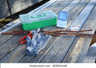 Cutting Branches And Pruning Tools On Frosty Garden Table With Thermometer