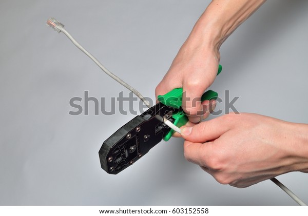 Cutting Computer Network Cable Mites Stock Photo 603152558 | Shutterstock