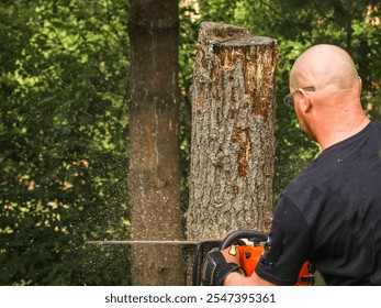 Cutting down a tree with a chainsaw. - Powered by Shutterstock