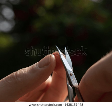 cutting finger nails outdoors in the garden with a rose hedge in the background