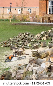 Cutting Firewood Chainsaw English Garden Setting Stock Photo 1172451703 ...