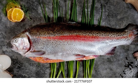 Cutting Fresh Fish Before Cooking.