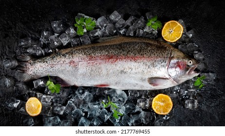 Cutting Fresh Fish Before Cooking.