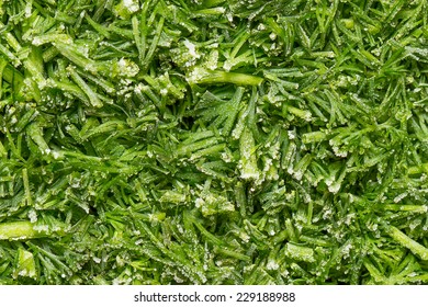 Cutting Frozen Fresh Dill Closeup