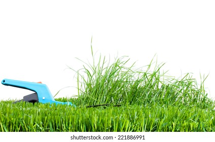 Cutting Grass Stock Photo 221886991 | Shutterstock