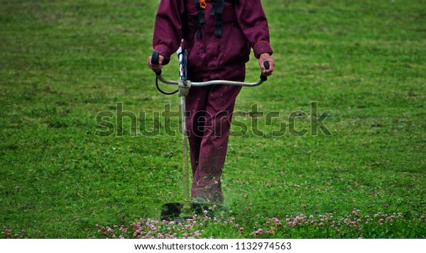 Cutting grass in garden with the trimmer. A man\
mows the grass with a\
trimmer.