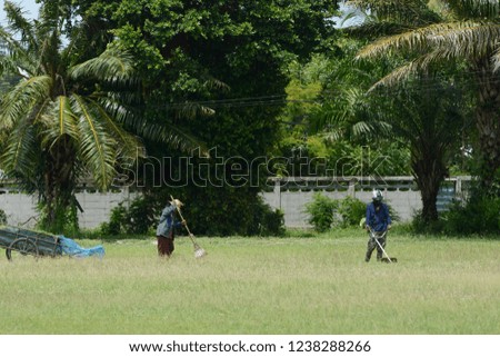 cutting grass with gardening tools. Gardener with lawnmower