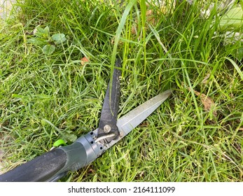 Cutting Grass With Manual Grass Shears