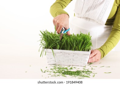 Cutting The Grass With Scissors